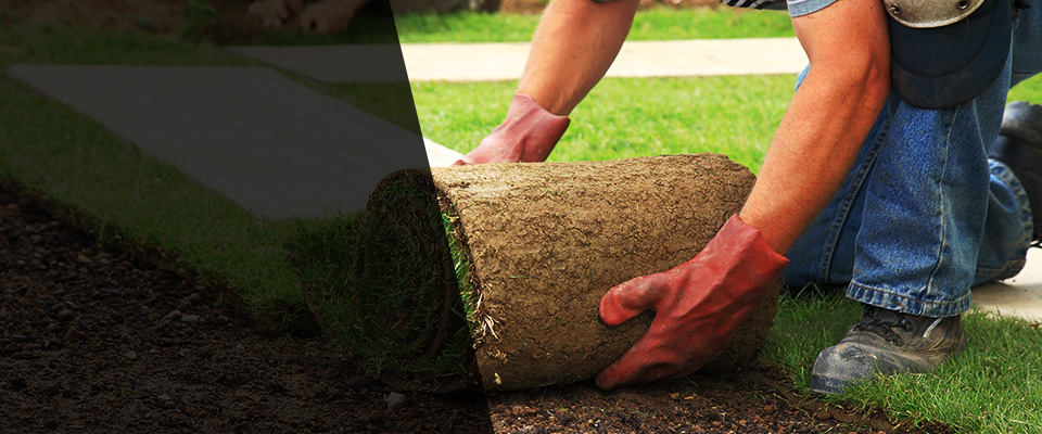 China Grove Landscapers